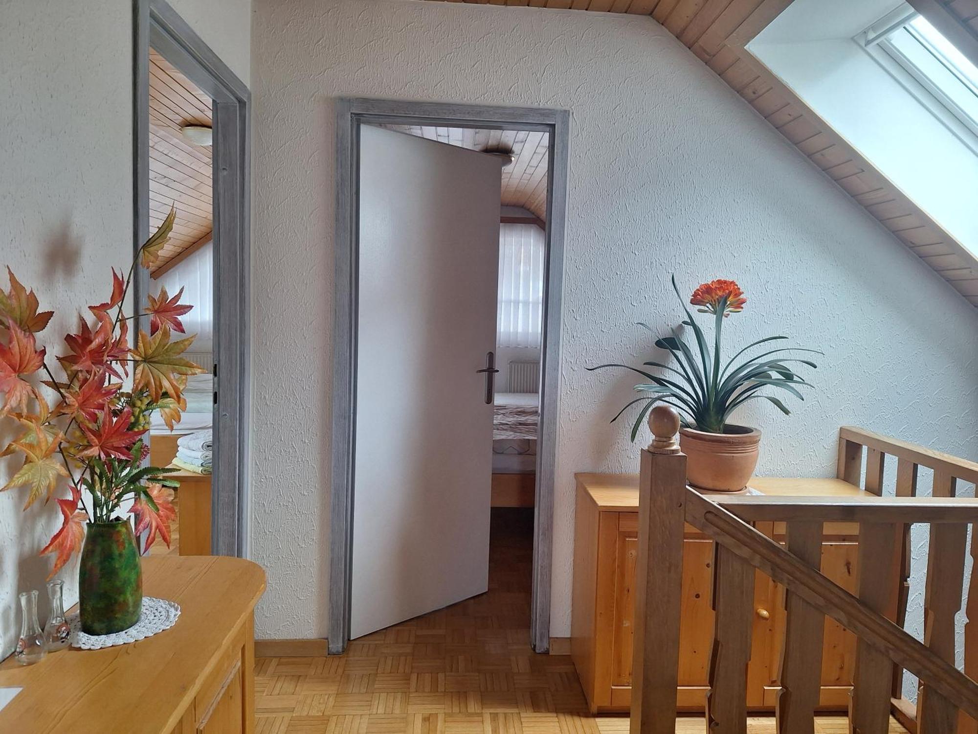 Apartmaji Marinka Hodnik Bohinj Extérieur photo