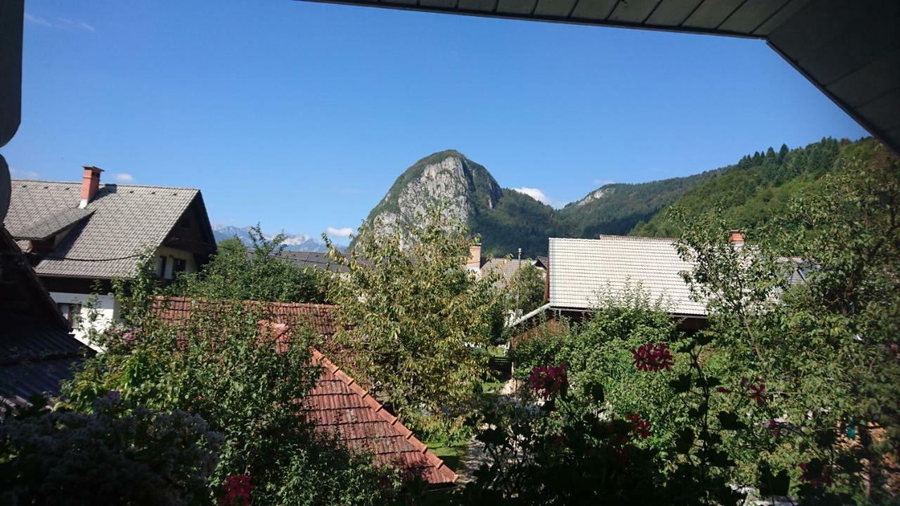 Apartmaji Marinka Hodnik Bohinj Extérieur photo